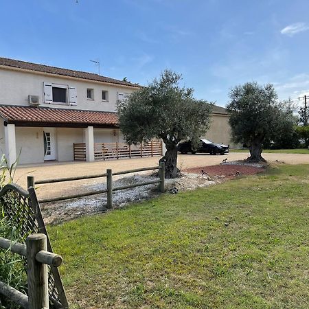 Studio 40M2 Avec Terrasse Le Mas De Lauriane Saintes-Maries-de-la-Mer Exterior foto